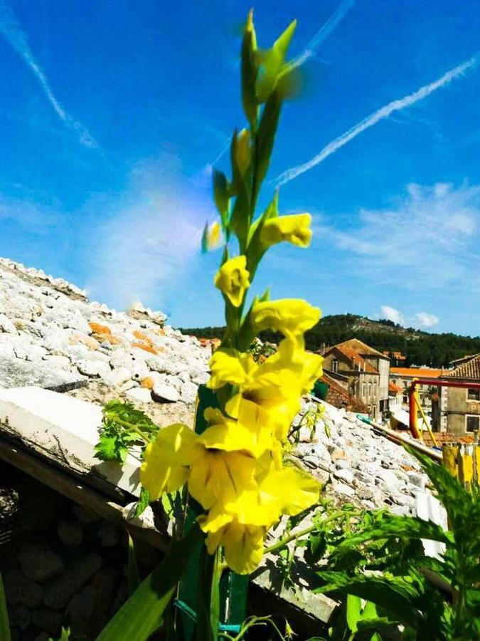 Guest House San Nikola Stari Grad  Exterior foto